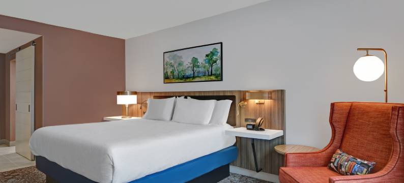 希尔顿花园酒店麦迪逊亨茨维尔机场(Hilton Garden Inn Madison Huntsville Airport)图片