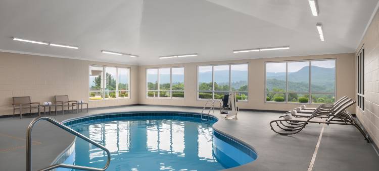 加纳威斯维尔东 IHG 酒店(Garner Hotel WYTHEVILLE EAST by IHG)图片