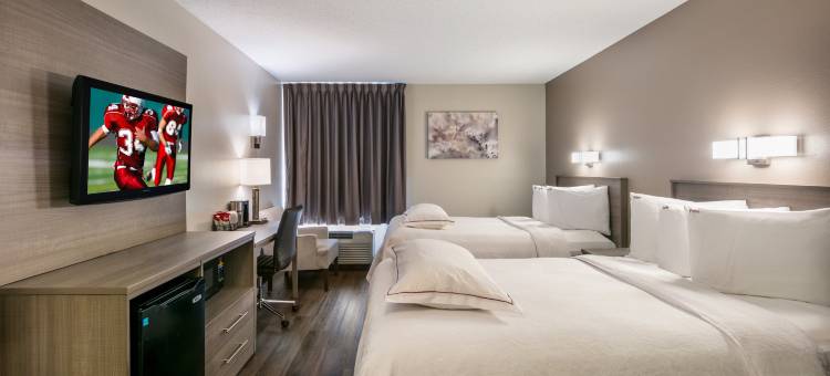 波士顿洛根红顶Plus酒店(Red Roof Plus+ Boston - Logan)图片