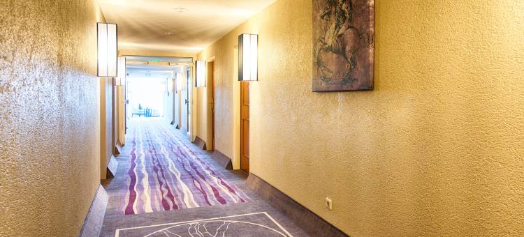 海德堡沃尔多夫莱昂纳多酒店(Leonardo Hotel Heidelberg-Walldorf)图片