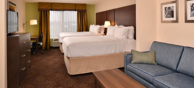 智选假日套房酒店-迪尔伯恩西南/底特律地区(Holiday Inn Express & Suites Dearborn SW - Detroit Area)图片