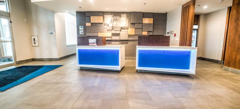 埃德蒙顿西部购物区智选假日酒店(Holiday Inn Express & Suites WEST EDMONTON-MALL AREA by IHG)图片