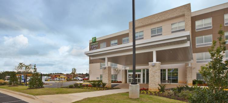 南希尔智选假日套房酒店(Holiday Inn Express & Suites South Hill)图片