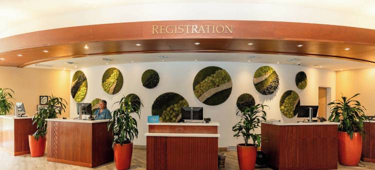 威基基海滩步行街希尔顿安泊酒店(Embassy Suites by Hilton Waikiki Beach Walk)图片