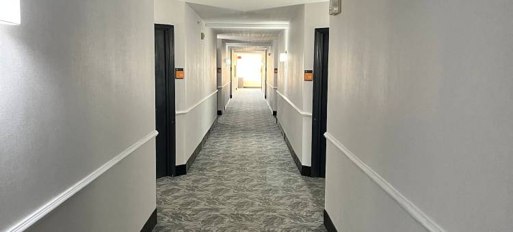 杰克逊维尔巴特勒大道拉昆塔温德姆套房酒店(La Quinta Inn & Suites by Wyndham Jacksonville Butler Blvd)图片