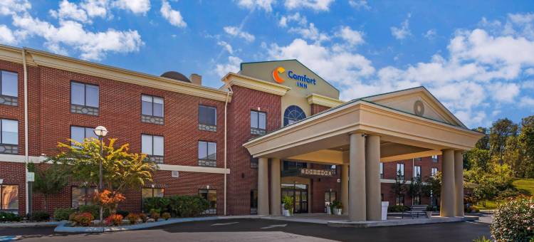 舒适酒店南代顿(Comfort Inn Dayton South)图片