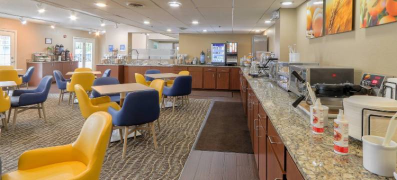 多利伍德街舒适酒店(Comfort Inn & Suites at Dollywood Lane)图片