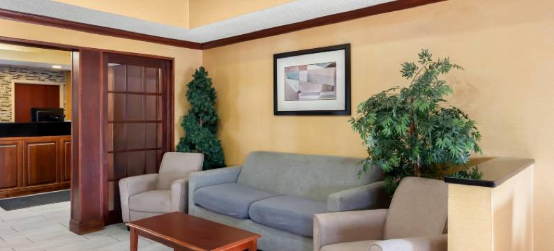 凯艺套房酒店(Quality Inn & Suites Niles)图片