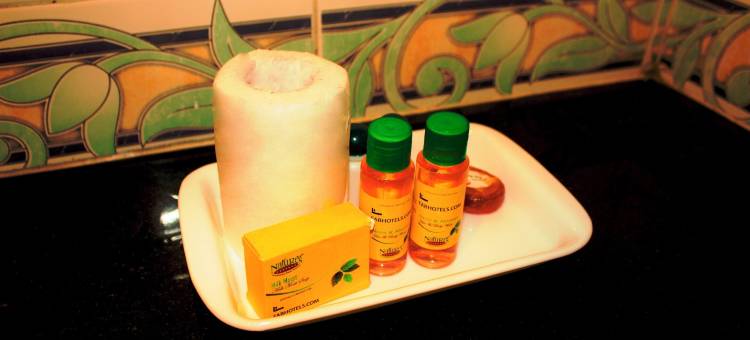 Fabhotel 君悦古纳斯(FabHotel Grand Gunas)图片