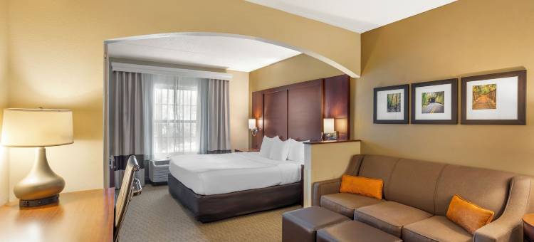舒适套房酒店-近宾夕法尼亚州立大学(Comfort Suites Near Penn State - State College, PA)图片