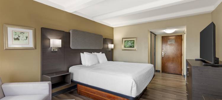 麦迪逊亨茨维尔贝斯特韦斯特优质酒店(Best Western Plus Madison-Huntsville Hotel)图片