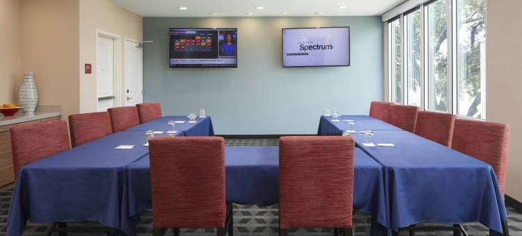 坦帕南部万豪TownePlace套房酒店(TownePlace Suites by Marriott Tampa South)图片