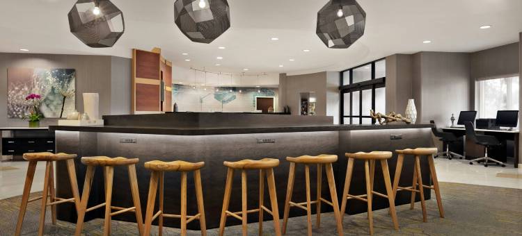 杜勒斯机场 SpringHill Suites 万豪酒店(SpringHill Suites Dulles Airport)图片