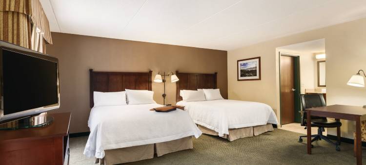 希尔顿欢朋套房酒店-乔治湖(Hampton Inn & Suites Lake George)图片