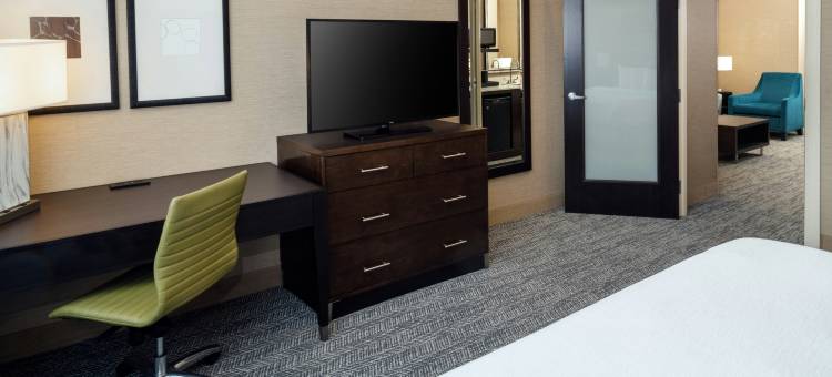 圣路易斯市中心希尔顿安泊酒店(Embassy Suites by Hilton St. Louis Downtown)图片