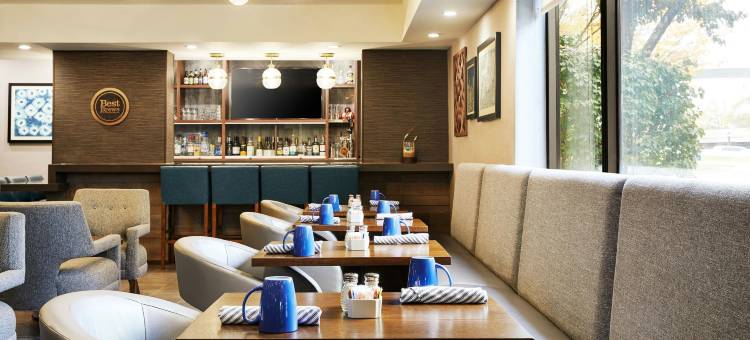 芝加哥韦斯贾斯特 - 橡树溪福朋喜来登酒店(Four Points by Sheraton Chicago Westchester/Oak Brook)图片