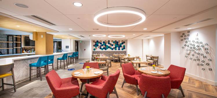 南阿什维尔希尔顿花园酒店(Hilton Garden Inn Asheville South)图片