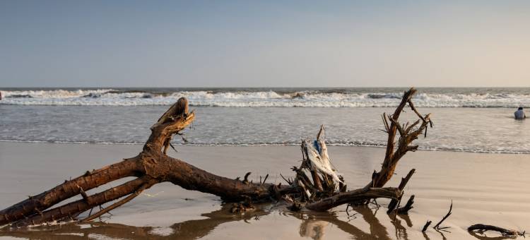 Dindi Rvr, A Club Mahindra Associate Resort图片