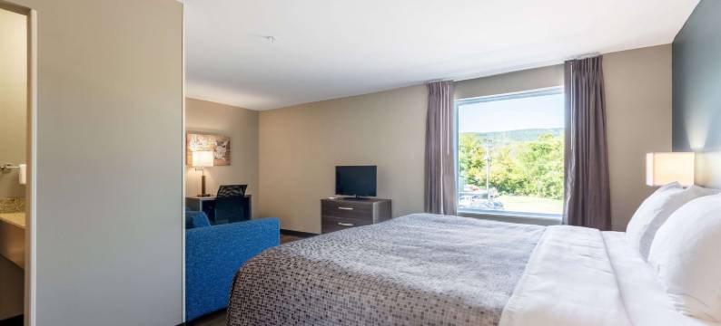 戴顿北部伊克诺旅馆(Econo Lodge Dayton North)图片