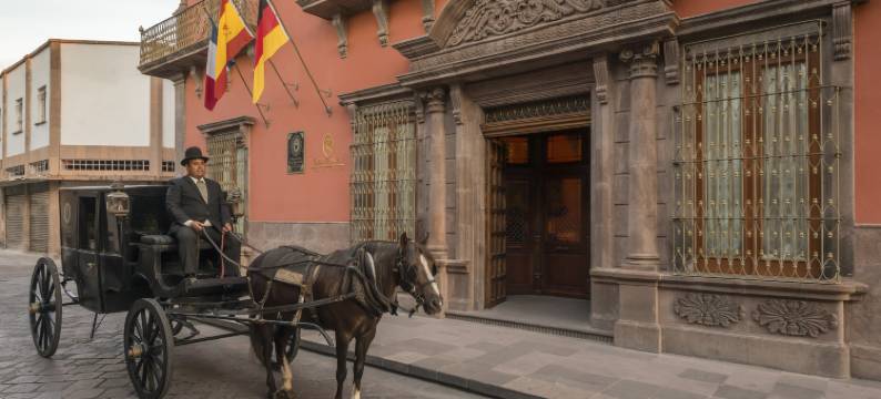 圣奥古斯丁帕拉西奥博物馆酒店(Hotel Museo Palacio de San Agustin)图片