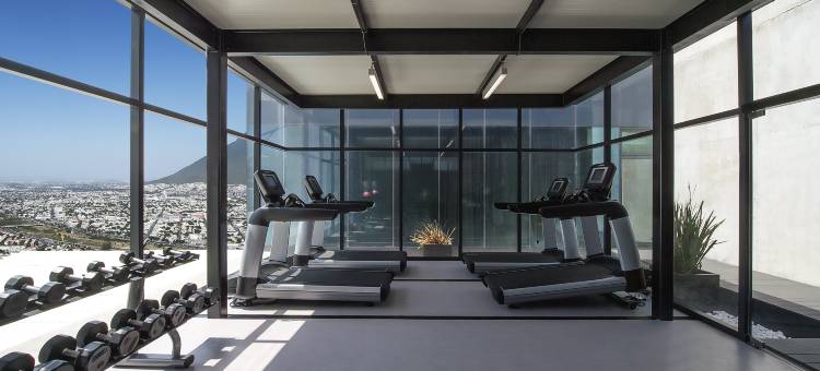 美洲嘉年华蒙特雷帕韦永M.酒店(Fiesta Americana Monterrey Pabellón M.)图片