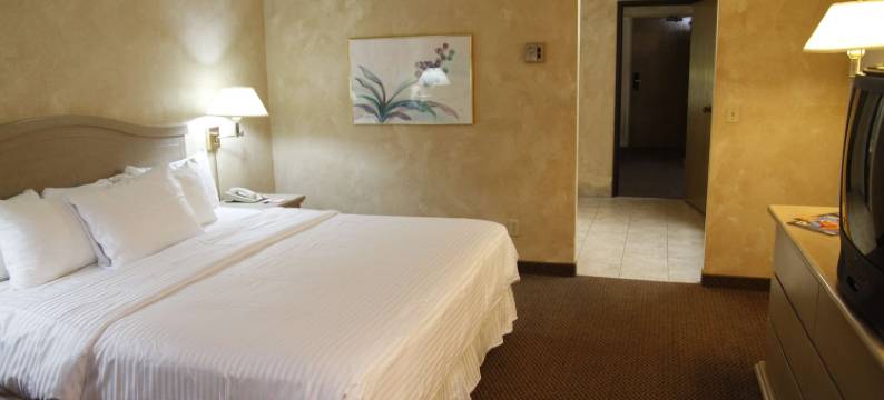 图森子爵套房温德姆华美达酒店(Ramada by Wyndham Viscount Suites Tucson East)图片