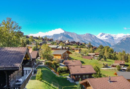 D'Arby Hotel Overview