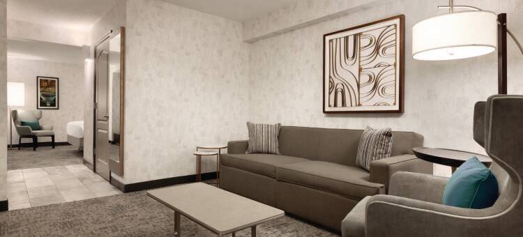 华盛顿特区希尔顿花园酒店(Hilton Garden Inn Wash DC Downtown)图片