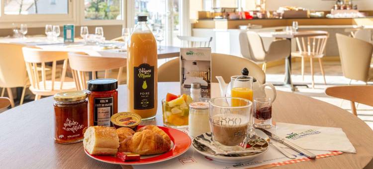 奥尔良圣让德布赖埃布里特酒店 - 安塔尔(Brit Hotel Orléans St Jean de Braye - l'Antarès)图片