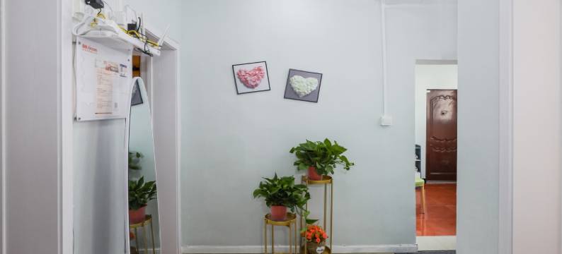 不忘初心方得始终公寓(南京三七八巷店)图片