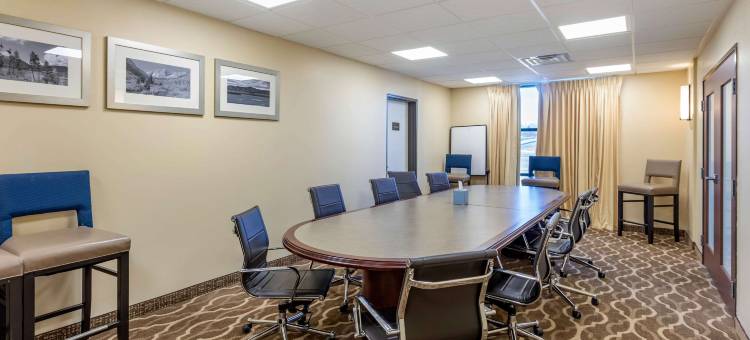 舒适套房酒店-近丹佛市区(Comfort Suites Near Denver Downtown)图片