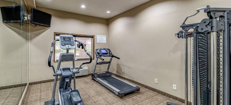 达拉斯西普莱诺凯艺酒店(Quality Inn West Plano - Dallas)图片