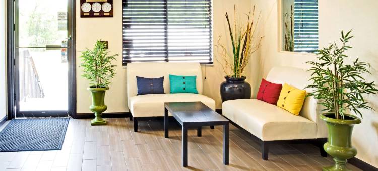 奥格登温德姆速8酒店(Super 8 by Wyndham Ogden)图片