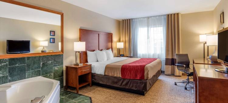 舒适套房酒店(Comfort Inn & Suites)图片