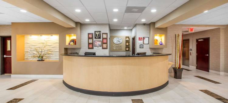 洛克斯特格罗夫亚特兰大南舒适全套房酒店(Comfort Suites Locust Grove Atlanta South)图片