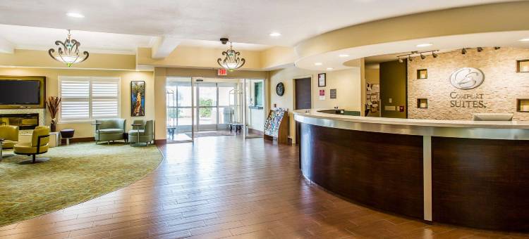 弗雷斯诺河滨公园舒适套房酒店(Comfort Suites Fresno River Park)图片