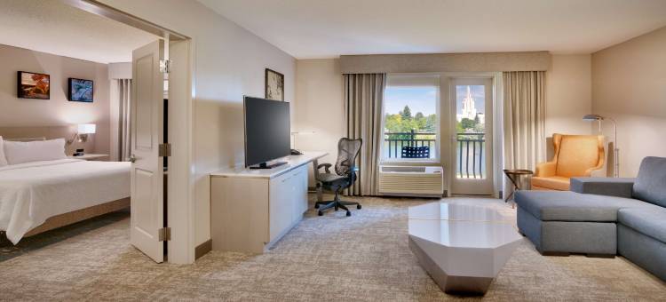 爱达荷福尔斯希尔顿花园酒店(Hilton Garden Inn Idaho Falls)图片