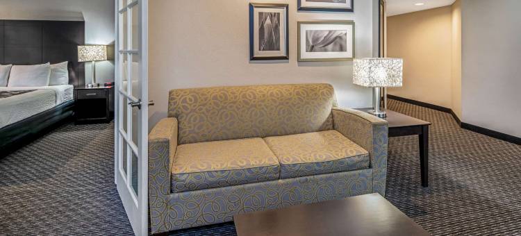 阿纳海姆拉昆塔温德姆套房酒店(La Quinta Inn & Suites by Wyndham Anaheim)图片