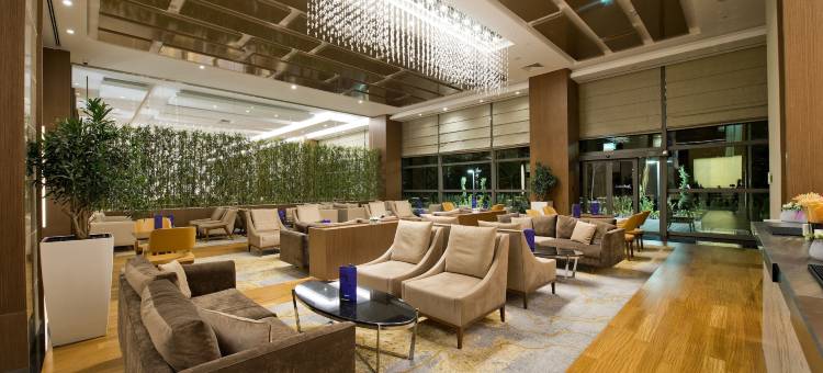 丽笙蓝标酒店-开塞利(Radisson Blu Hotel, Kayseri)图片
