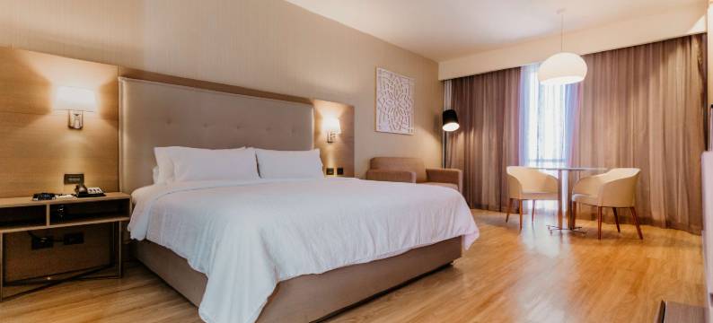 锡劳下机场希尔顿花园酒店(Hilton Garden Inn Silao Aeropuerto Bajio)图片