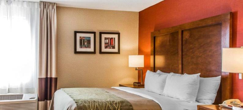 Comfort Inn Boston图片