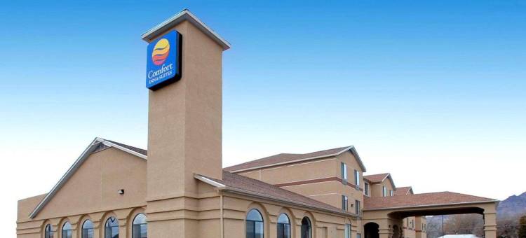 索科罗舒适套房酒店(Comfort Inn & Suites)图片