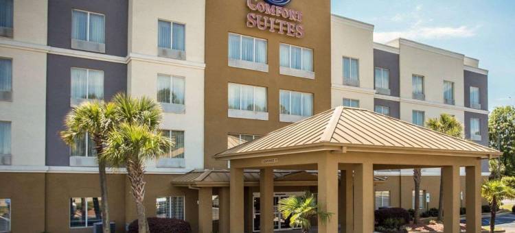 哈比森哥伦比亚舒适全套房酒店(Comfort Suites Columbia at Harbison)图片