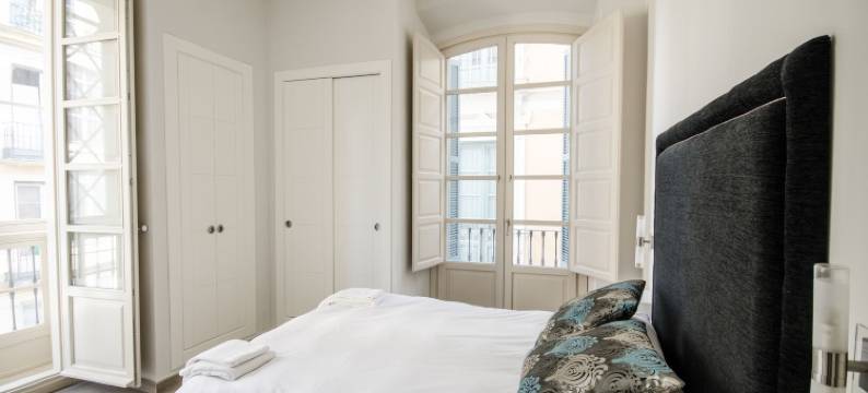 皮纳尔马拉加中心公寓(Apartamentos Pinar Málaga Centro - Carretería)图片