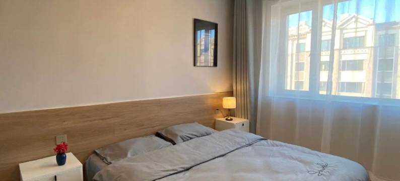 浪漫两居室公寓(环保路分店)图片