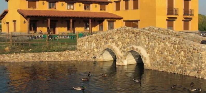 洛斯里勒斯酒店(Los Reales)图片