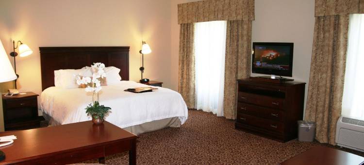 希尔顿欢朋套房酒店-奥卡拉贝尔维尤(Hampton Inn & Suites Ocala - Belleview)图片