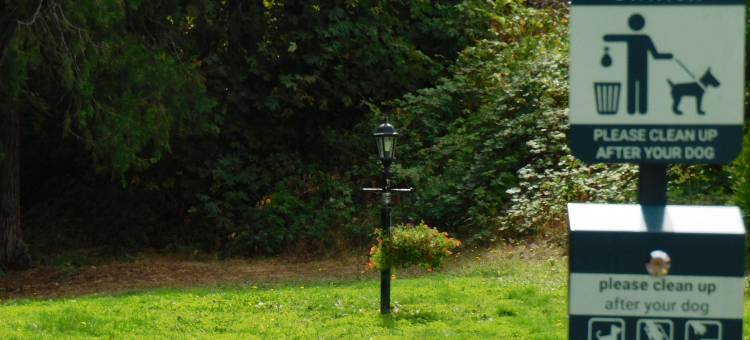 温德姆坎宁维尔酒店(Travelodge by Wyndham Canyonville)图片