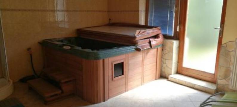 Gergely Vendeghaz图片