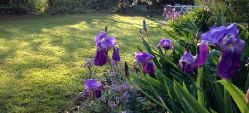 L'écume de Mer图片